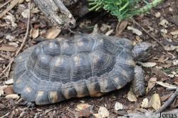 San Diego Zoo