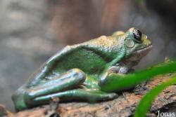 San Diego Zoo