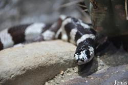 San Diego Zoo