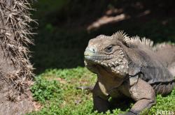 San Diego Zoo