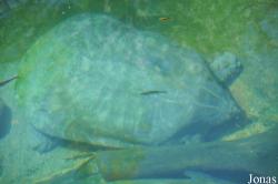 San Diego Zoo