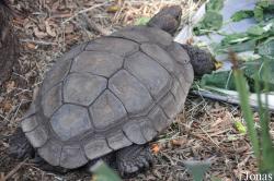 San Diego Zoo