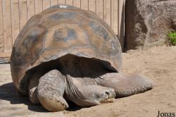 San Diego Zoo