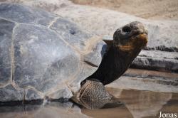 San Diego Zoo