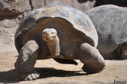 San Diego Zoo