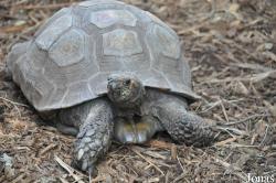 San Diego Zoo