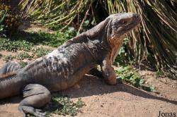 San Diego Zoo