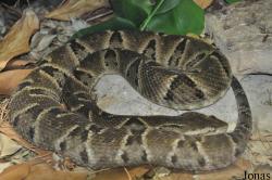 San Diego Zoo