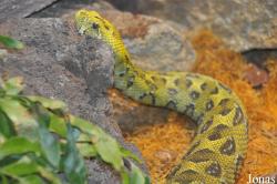 San Diego Zoo