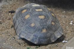San Diego Zoo