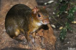 Allwetterzoo Münster