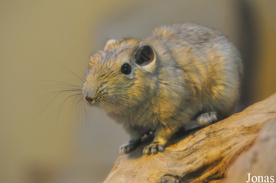 Allwetterzoo Münster