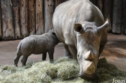 Allwetterzoo Münster
