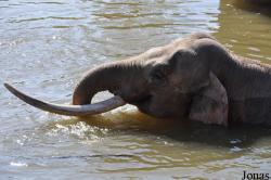 Allwetterzoo Münster