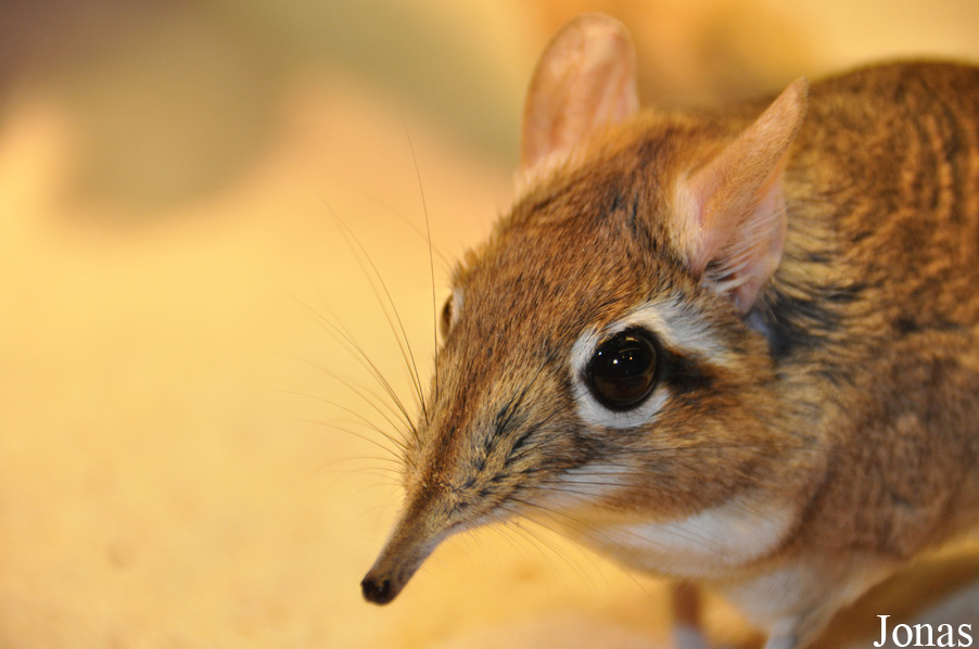 Allwetterzoo Münster