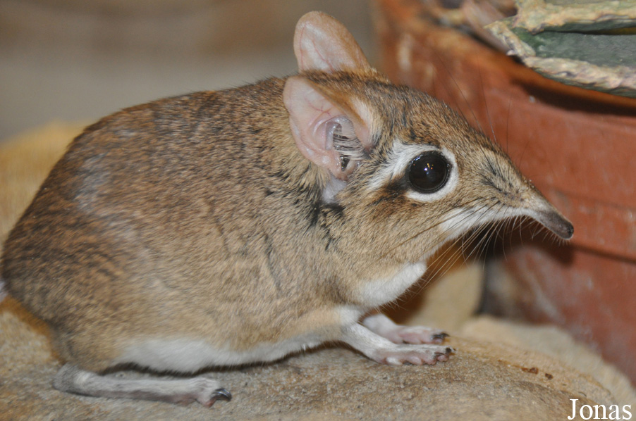 Allwetterzoo Münster