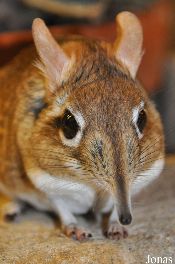 Allwetterzoo Münster