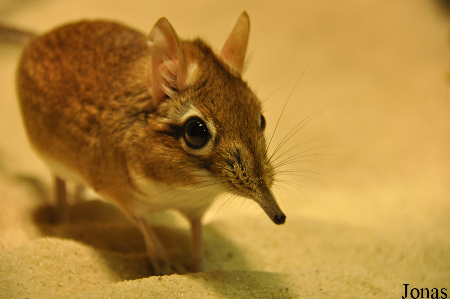 Allwetterzoo Münster