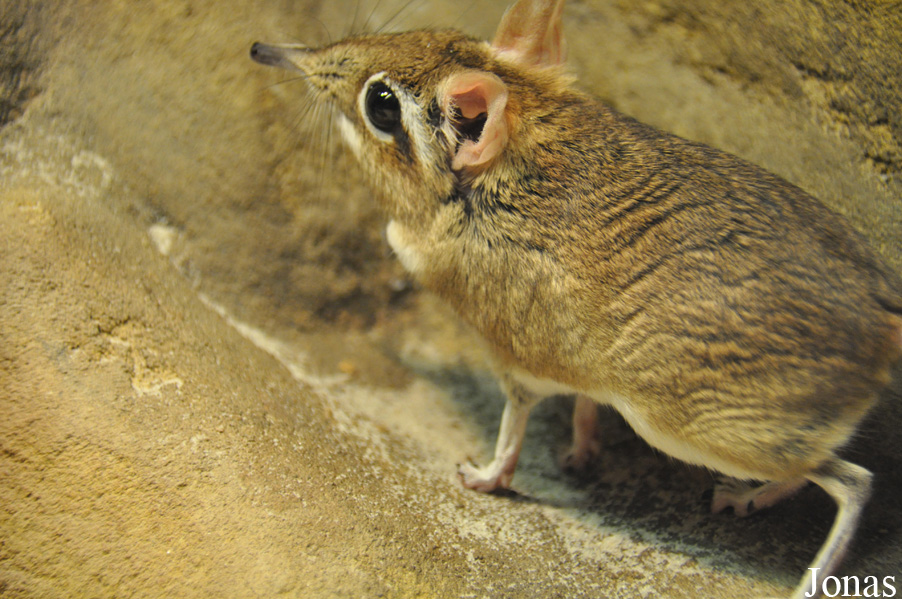 Allwetterzoo Münster