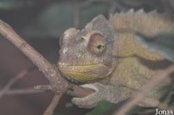 Allwetterzoo Münster
