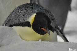 SeaWorld San Diego