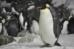 SeaWorld San Diego