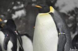 SeaWorld San Diego