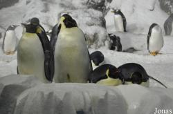 SeaWorld San Diego