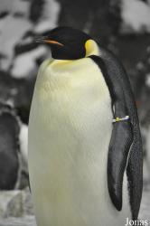 SeaWorld San Diego