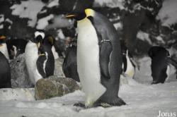 SeaWorld San Diego