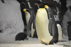 SeaWorld San Diego