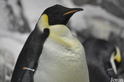 SeaWorld San Diego