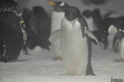 SeaWorld San Diego