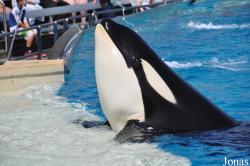 SeaWorld San Diego