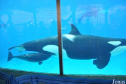 SeaWorld San Diego