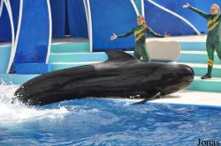 SeaWorld San Diego