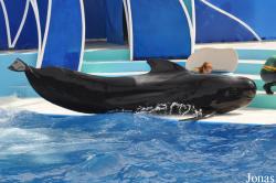 SeaWorld San Diego