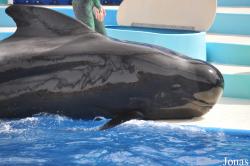SeaWorld San Diego