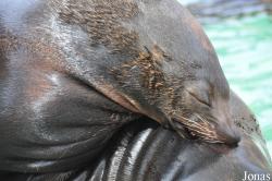 SeaWorld San Diego