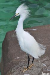 SeaWorld San Diego