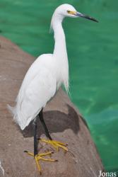 SeaWorld San Diego