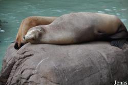 SeaWorld San Diego