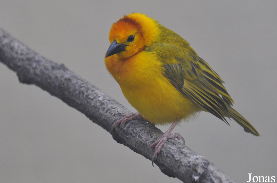 Zoo Berlin