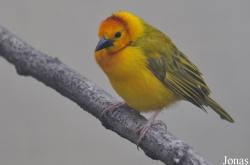 Zoo Berlin