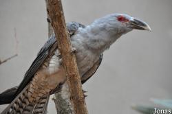 Zoo Berlin