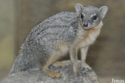 Zoo Berlin