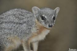 Zoo Berlin