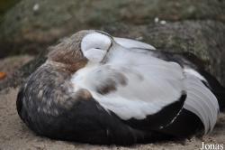 Zoo Rostock