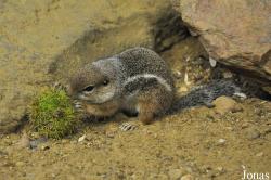 Zoo Rostock