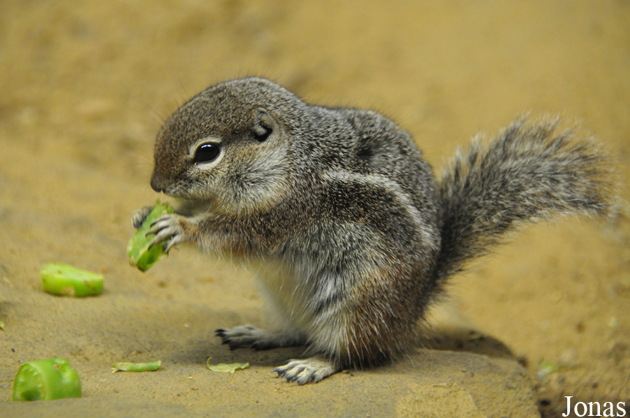 Zoo Rostock
